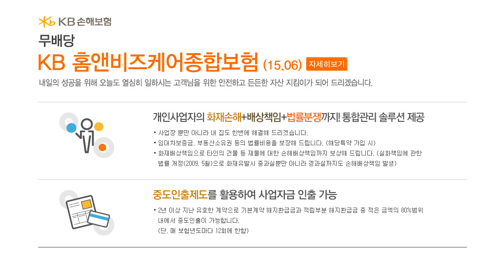 KB 홈앤비즈케어종합보험